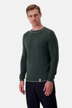 Pullover*Colours & Sons Strickpullover Merino Blend - Yucca