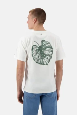 T-Shirts & Polos*Colours & Sons T-Shirt-Botaniste - White